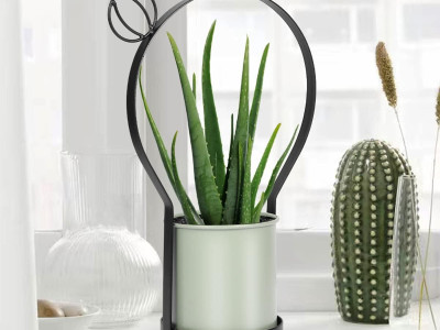 Arte de jardín de cactus de metal