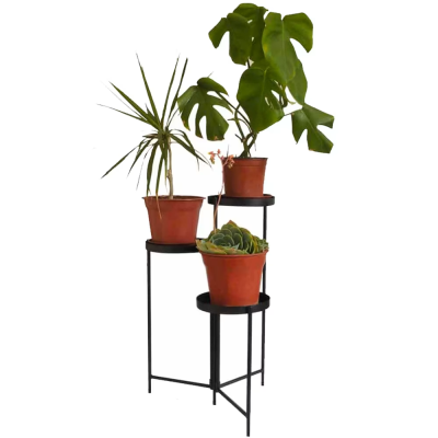 موقف النبات الحديث