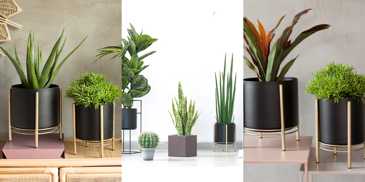 цветочный горшок и ваза