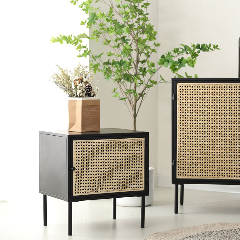 Metal Cabinet with Mesh Doors