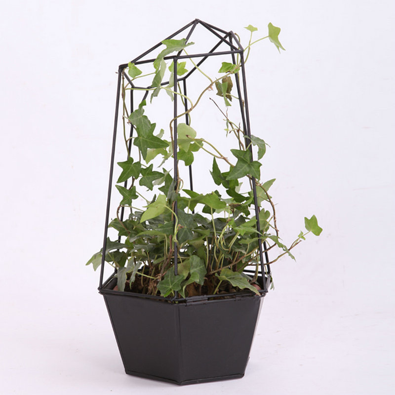 Vasos decorativos para jardim