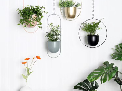 Soportes Colgantes para Plantas