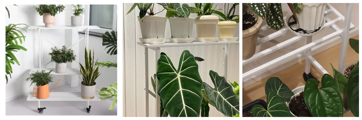 حامل نباتات على شكل سلم