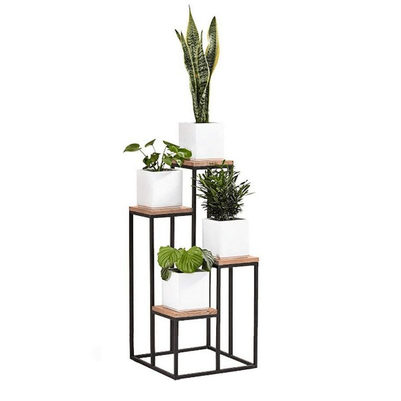 رف النبات داخلي