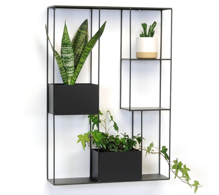 رفوف الحائط