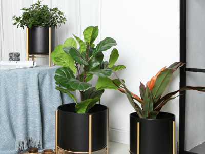 Soporte moderno para plantas con maceta