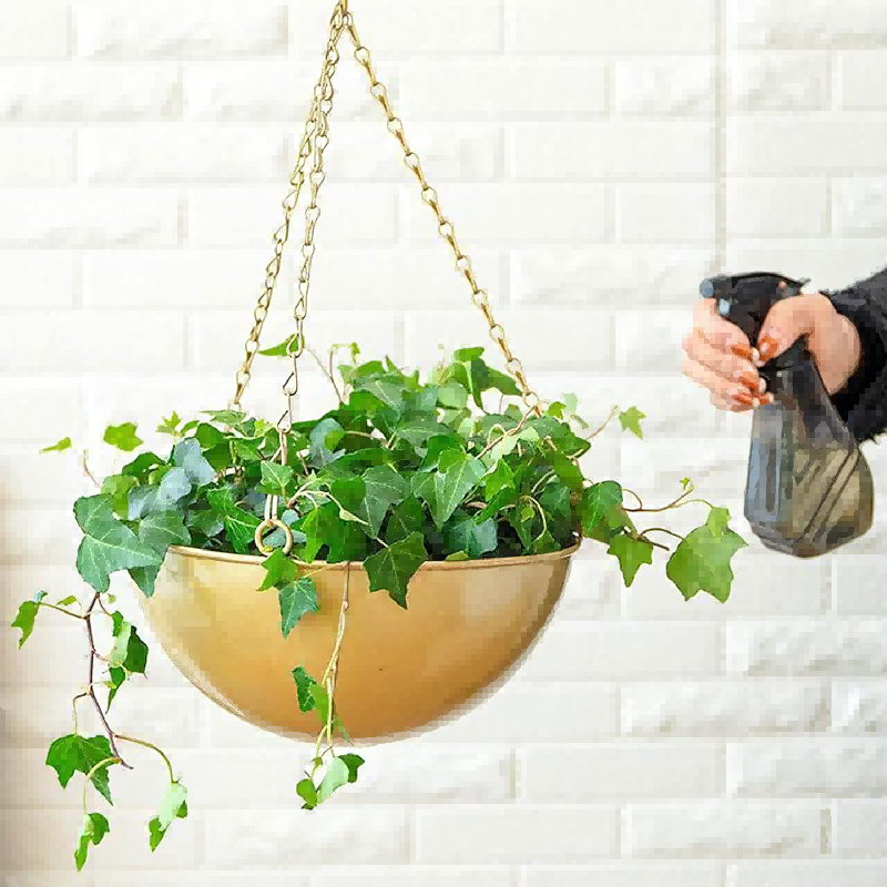 hanging plant holders