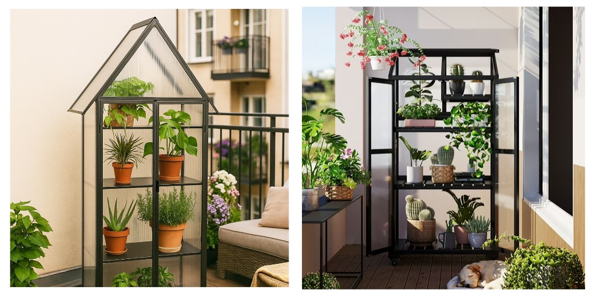 1767691760678171. jpg