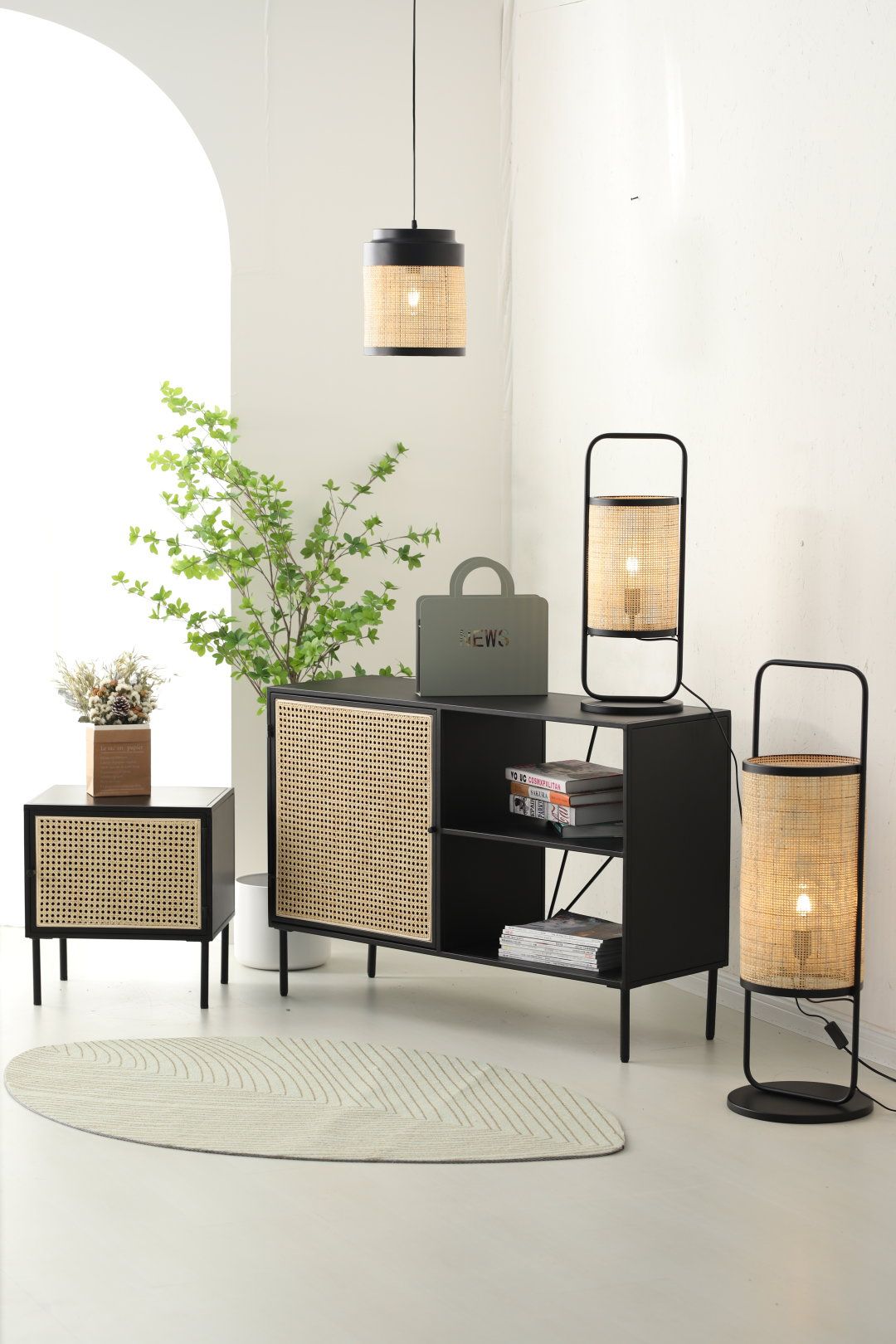 Metal Cabinet with Mesh Doors