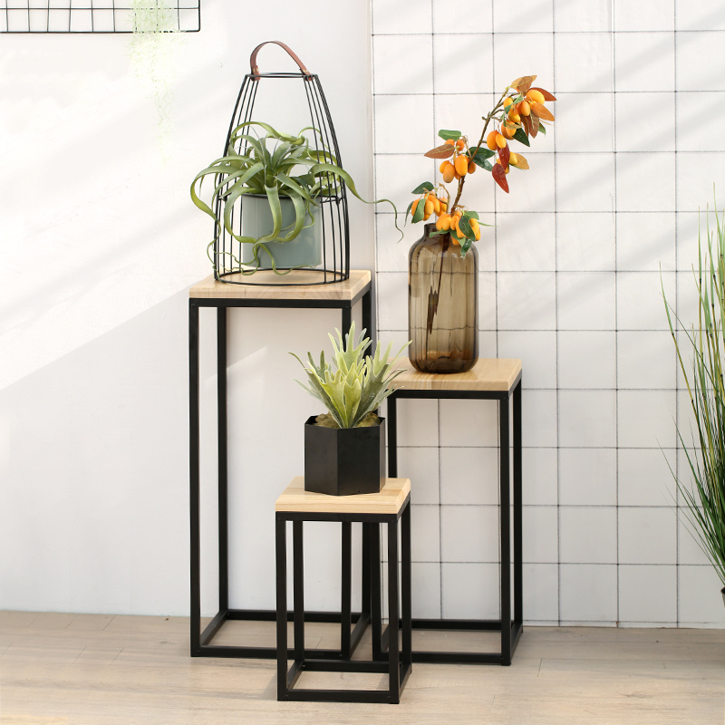 حامل عرض النباتات