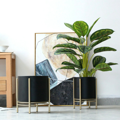 Support pour plantes en fer