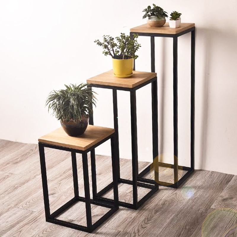 حامل عرض النباتات