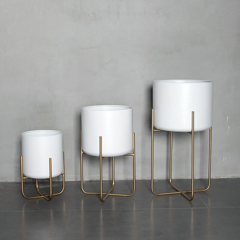 أصص نباتات داخلية طويلة