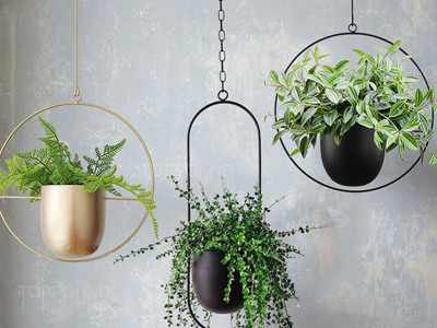 أفضل أواني الزهور المعلقة لحدائق الشرفة