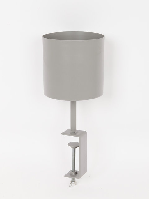 Подвесные комнатные растения