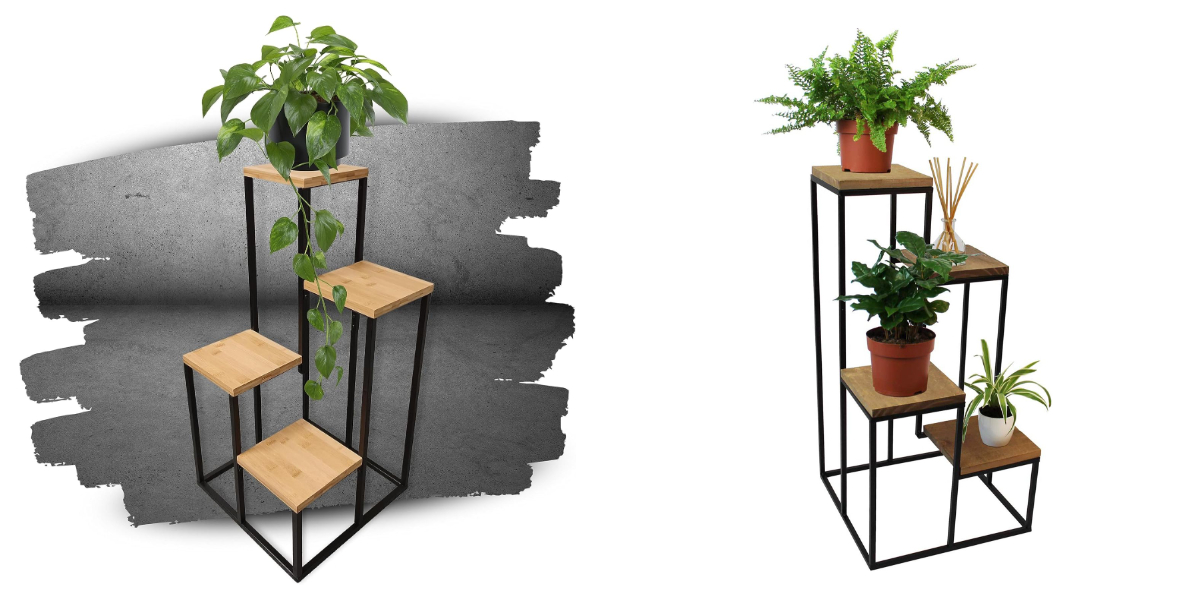 رف النبات داخلي