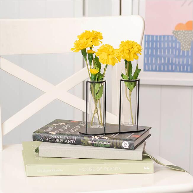 glass vases for plants